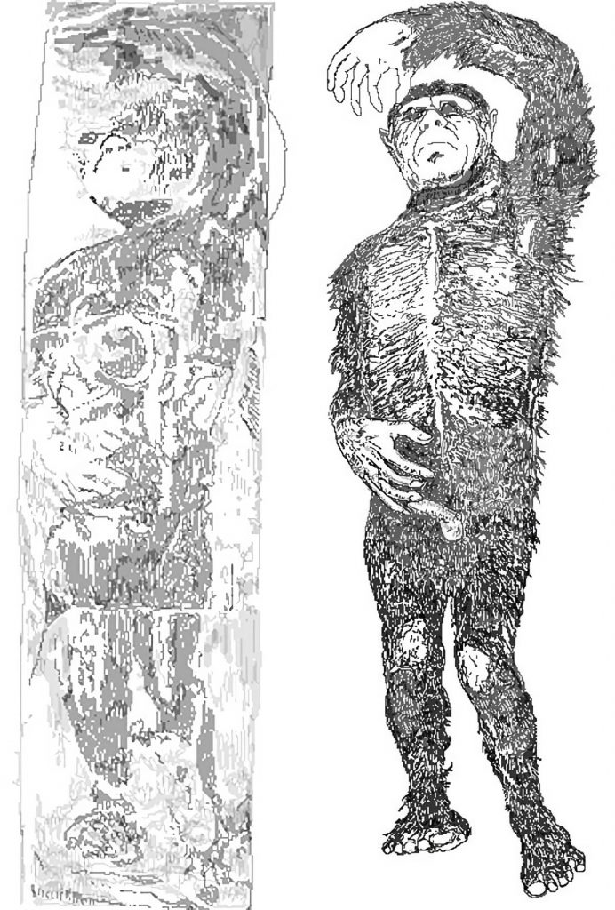 A la izquierda, el Hombre de Hielo de Minnesota tal y como se veía cuando estaba congelado y, a la derecha, como lo interpretaron Bernard Heuvelmans e Ivan T. Sanderson. Dibujos: Darren Naish.