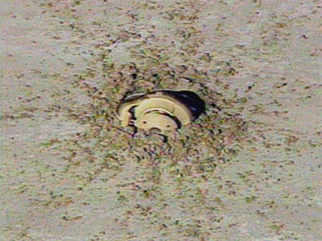 Imagen de la caída y el rescate de la sonda ‘Génesis’ de la NASA. Foto: NASA TV.