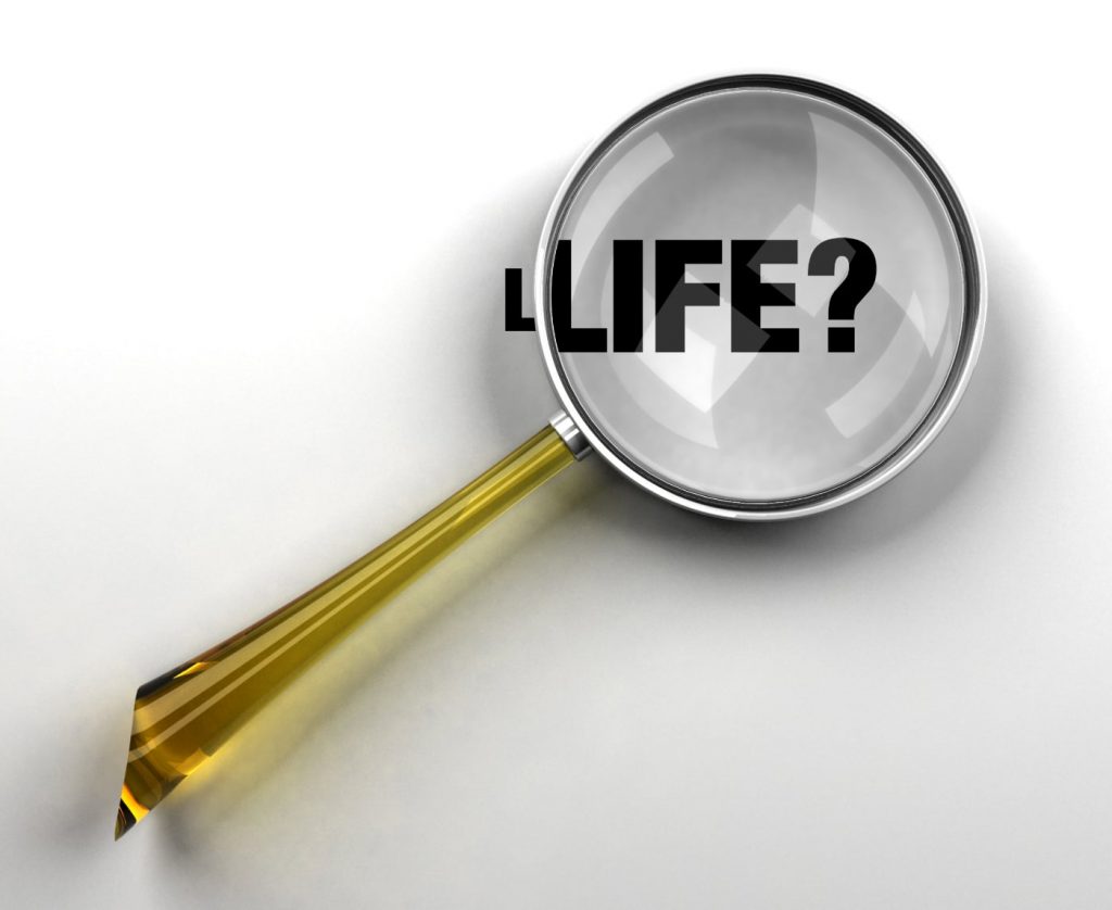 Ilustración: Iker Ayestarán.