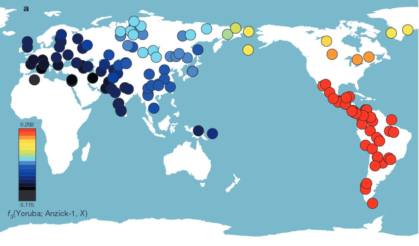 Afinidad genética de Anzick-1 con 143 poblaciones contemporáneas -de rojo, la mayor, a negro, la menor-, excluida el África subsahariana. Gráfico: 'Nature'.