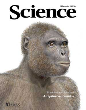 Ardi, en la portada de 'Science'.