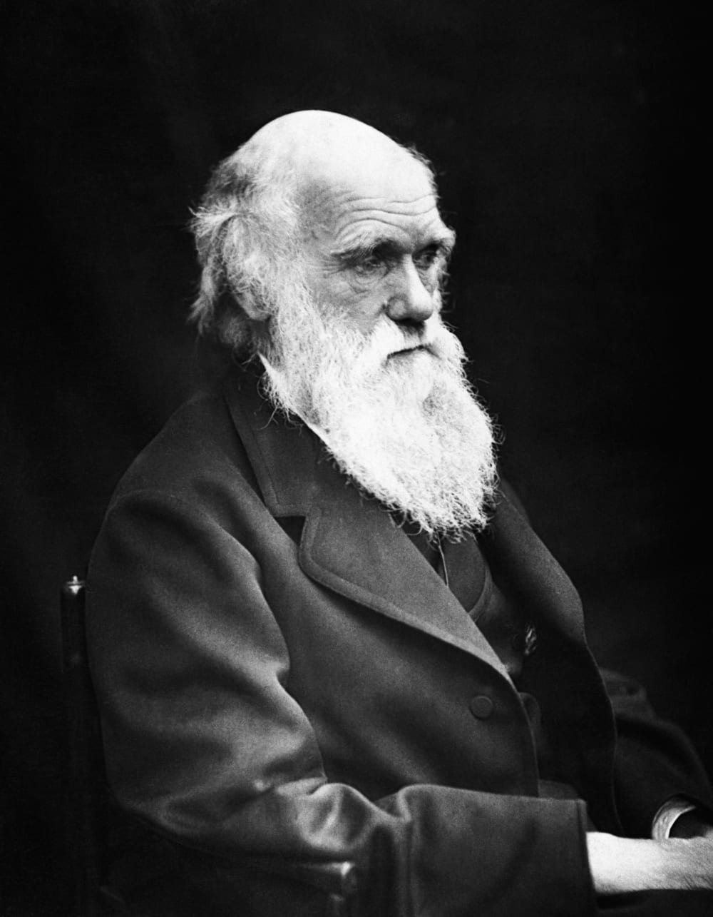 Charles Darwin. Foto: J. Cameron.
