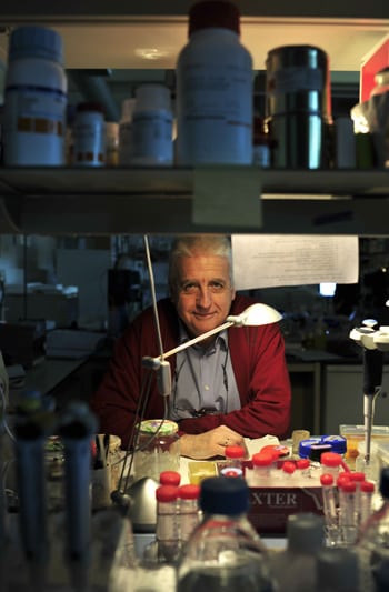 El biofísico Félix Goñi, en un laboratorio de la Facultad de Ciencia y Tecnología de la Universidad del País Vasco. Foto: Ignacio Pérez.