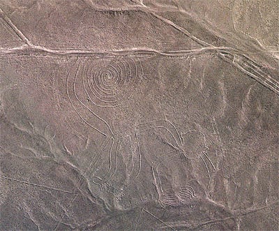 El mono del desierto de Nazca. Foto: SAN.