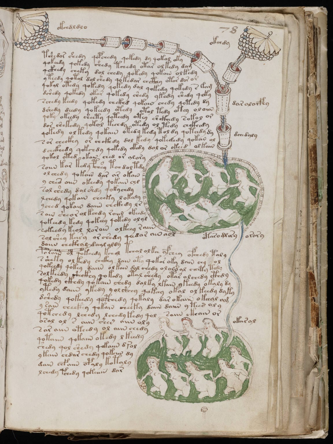 Página del manuscrito Voynich.