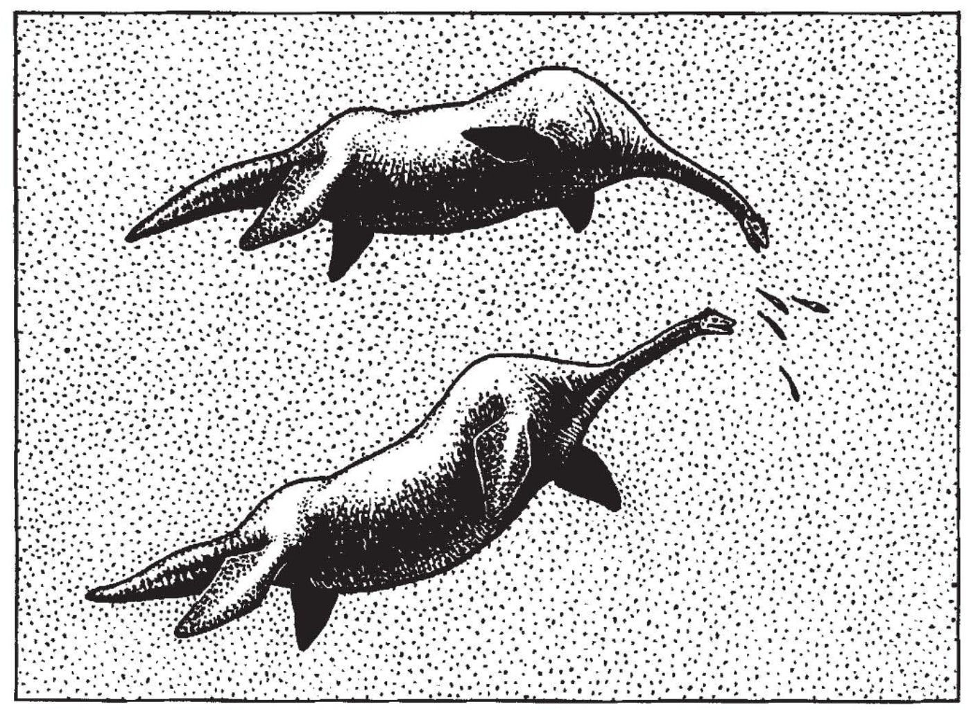 Boceto de la apariencia de un par de 'Nessiteras rhombopteryx' publicado en 'Nature'.