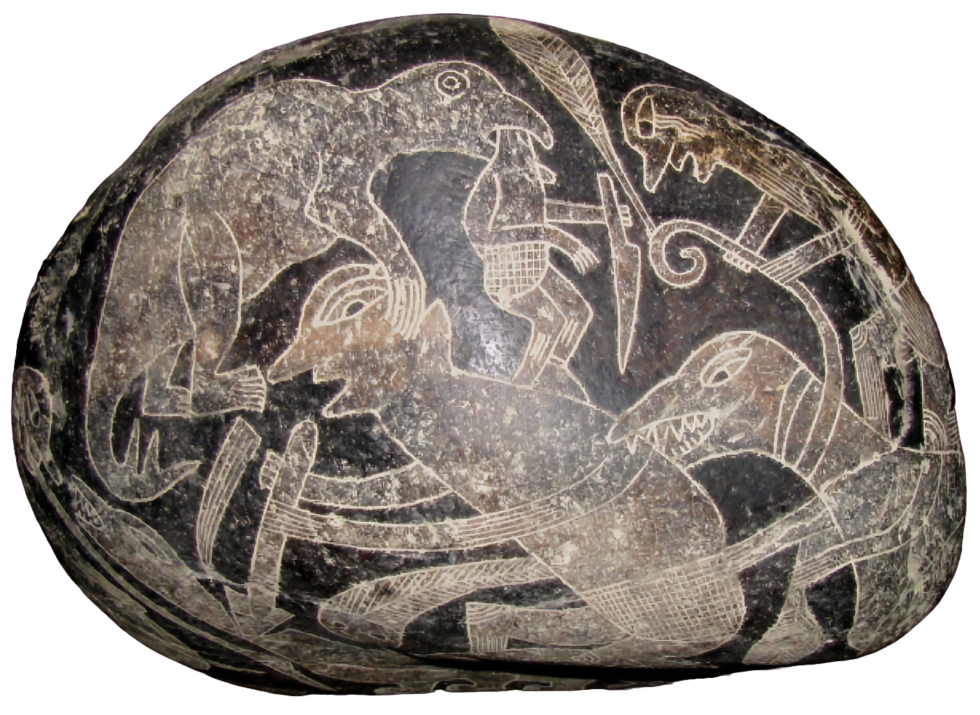 Un humano montado sobre un triceratops, en una de las piedras de Ica.