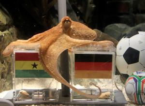 El pulpo Paul en su tanque momentos antes de predecir ayer la victoria de Alemania sobre Ghana. Foto: 'Der Spiegel'.