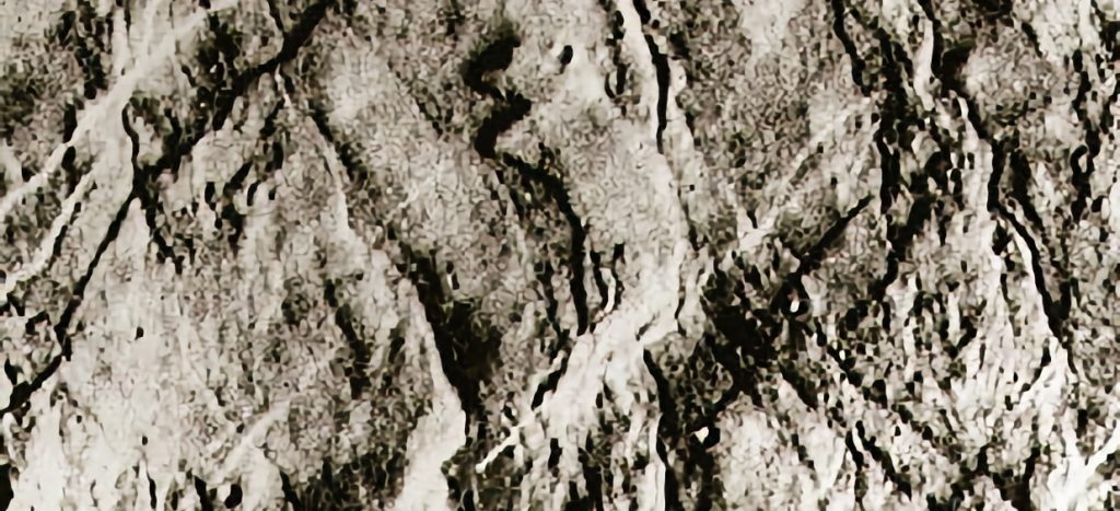 La rana Gustavo, fotografiada en Marte por la 'Viking 1' en 1976. Foto: NASA.