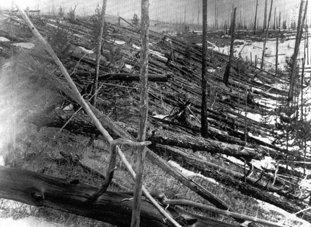 Bosque siberiano arrasado por el impacto de Tunguska.