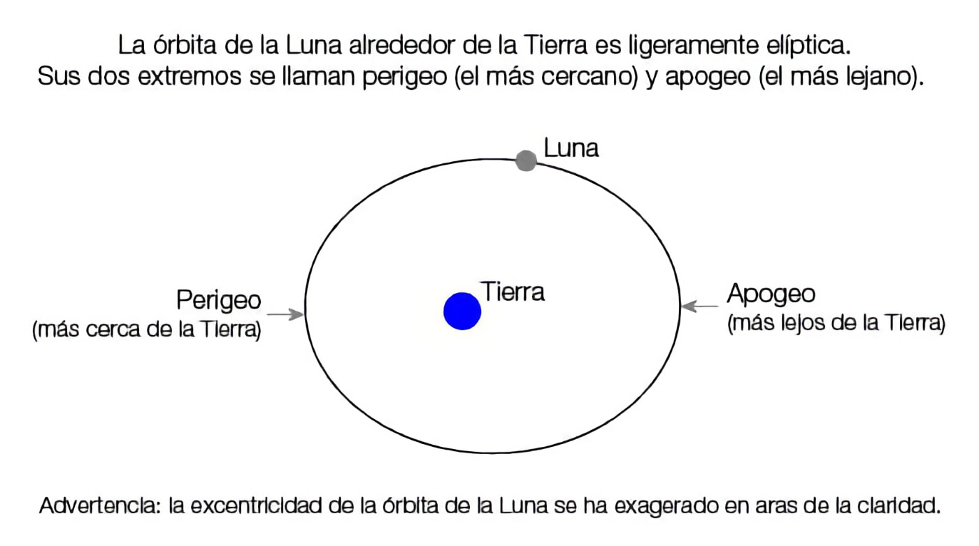 La órbita de la Luna.