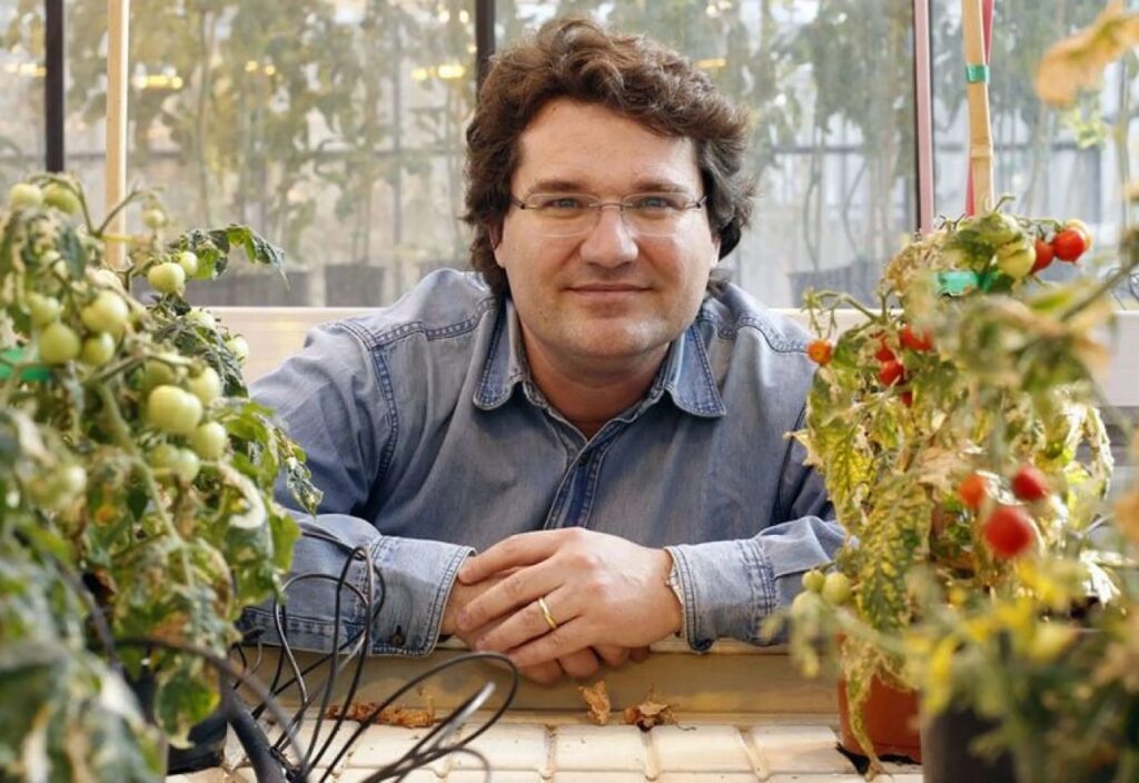 El bioquímico José Miguel Mulet, entre tomateras en el Instituto de Biología Molecular y Celular de Plantas de Valencia. Foto: Irene Marsilla.