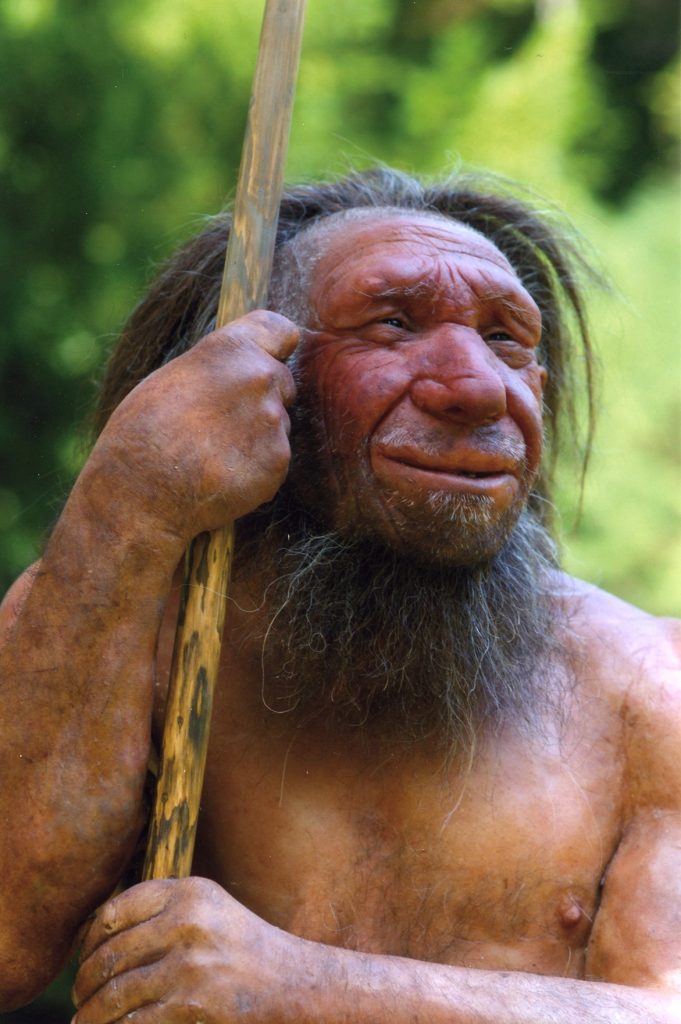 Recreación de un neandertal. Foto: Museo Neandertal de Mettmann.