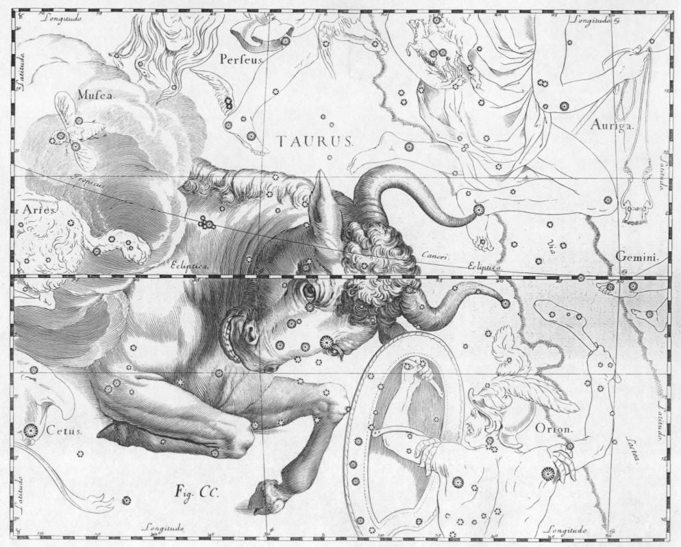 La constelación de Tauro, en la 'Prodromus Astronomia (1690) de Johannes Hevelius.
