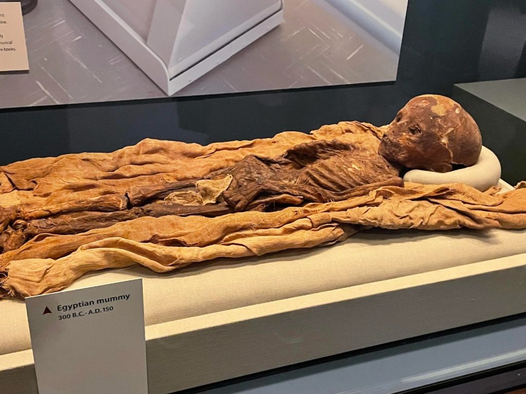Momia de un niño egipcio del Instituto Smithsoniano, en Washington.
