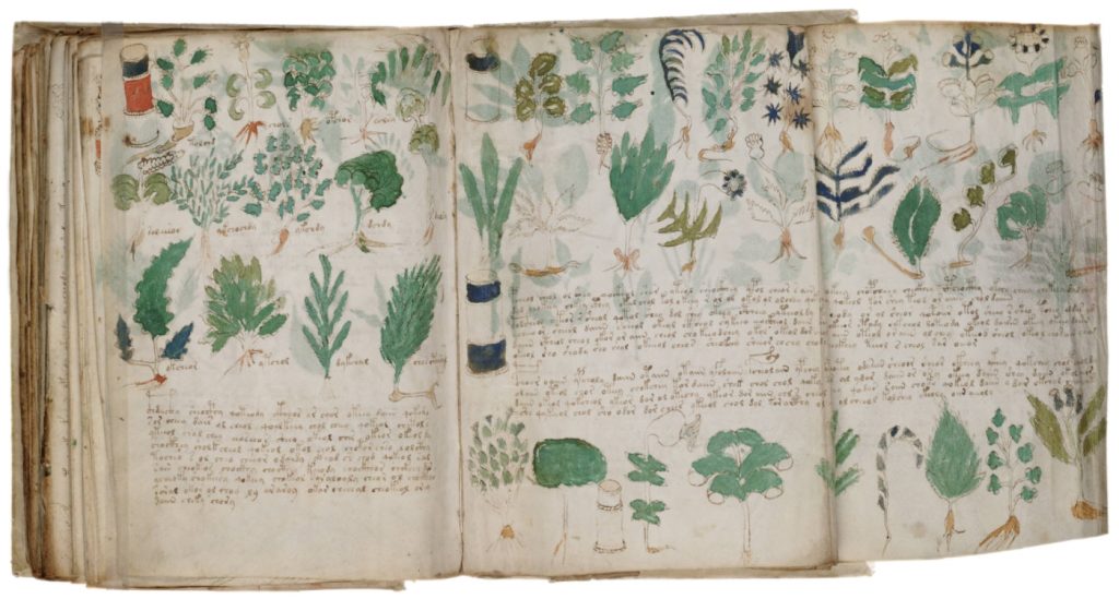 Páginas del manuscrito Voynich. Fuente: Biblioteca Beinecke de Manuscritos y Libros Raros de la Universidad de Yale.