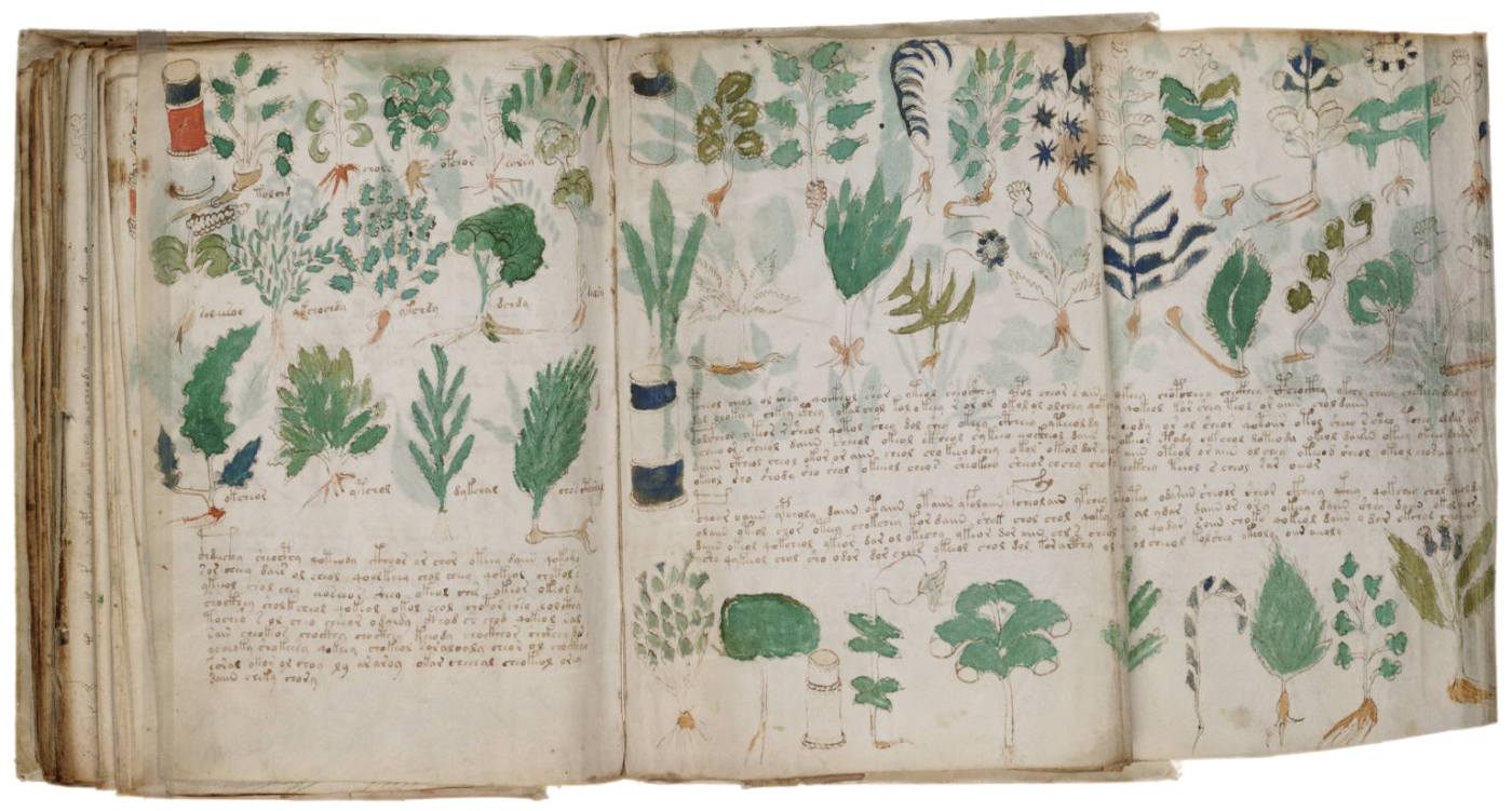 El carbono 14 fecha el manuscrito Voynich a principios del siglo XV
