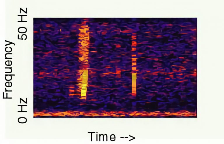 Espectrograma de 'El Bloop'. Foto NOAA.
