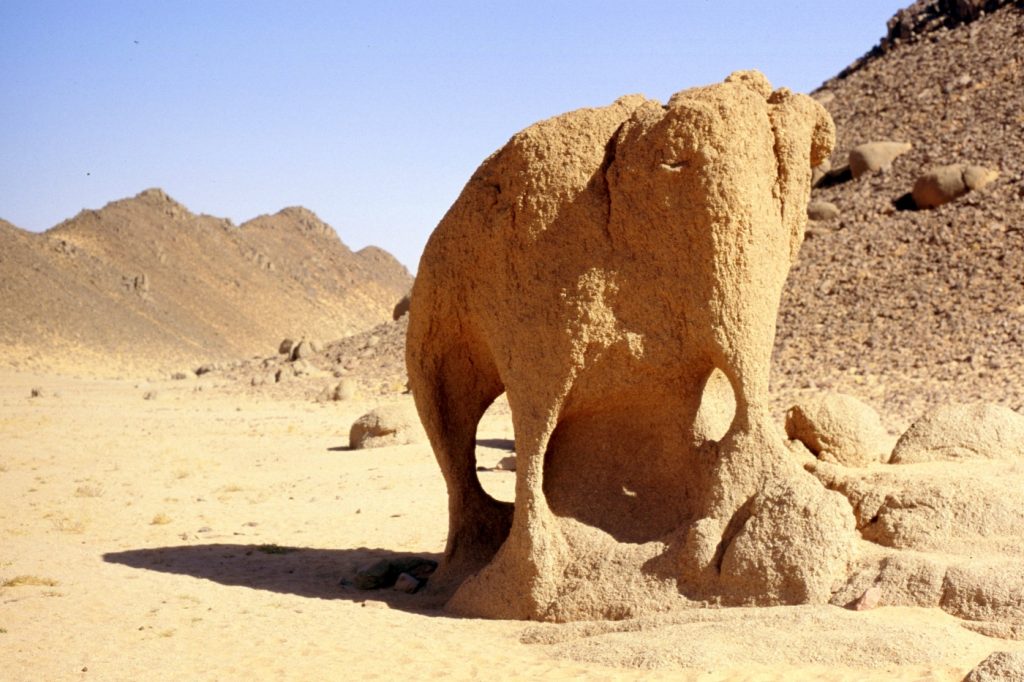 Formación salina con forma de elefante en Illizi, en el Sahara argelino. Foto: Patrick Gruban.