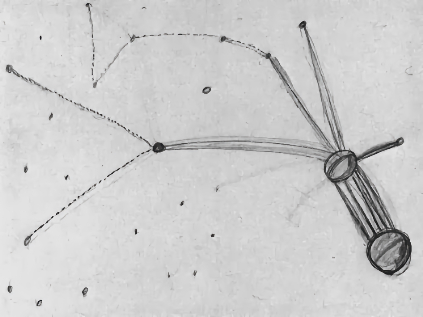 El mapa estelar de Marjorie Fish