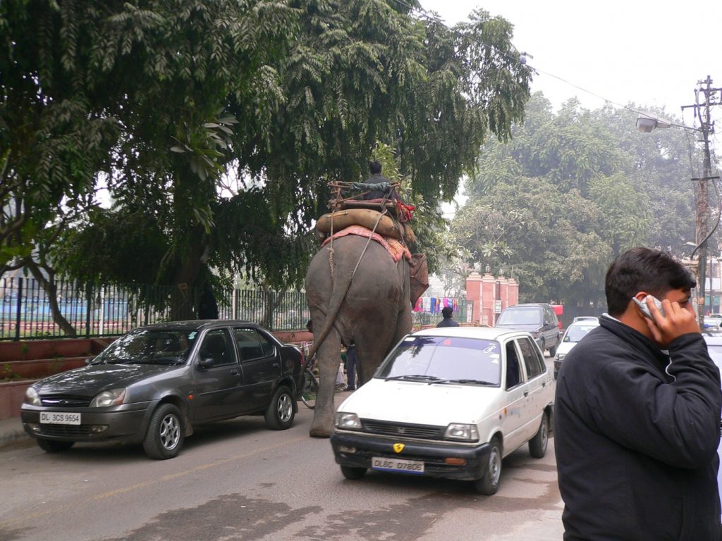 Una calle de Nueva Delhi, con un elefante yendo en sentido contrario. Foto: Kshitij Dewan.