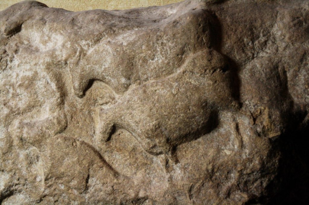 Uro en un bajorrelieve de una roca que se encuentra en el Fourneau du Diable du Bourdeilles, Dordoña. Foto: Sémhur.