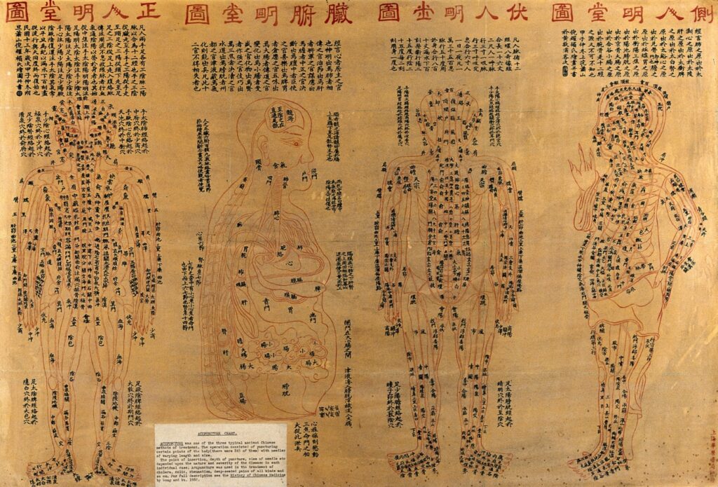 Representación artística china del cuerpo humano, con lo que parecen ser un sistema circulatorio y los puntos de acupuntura. Imagen: Colección Wellcome.