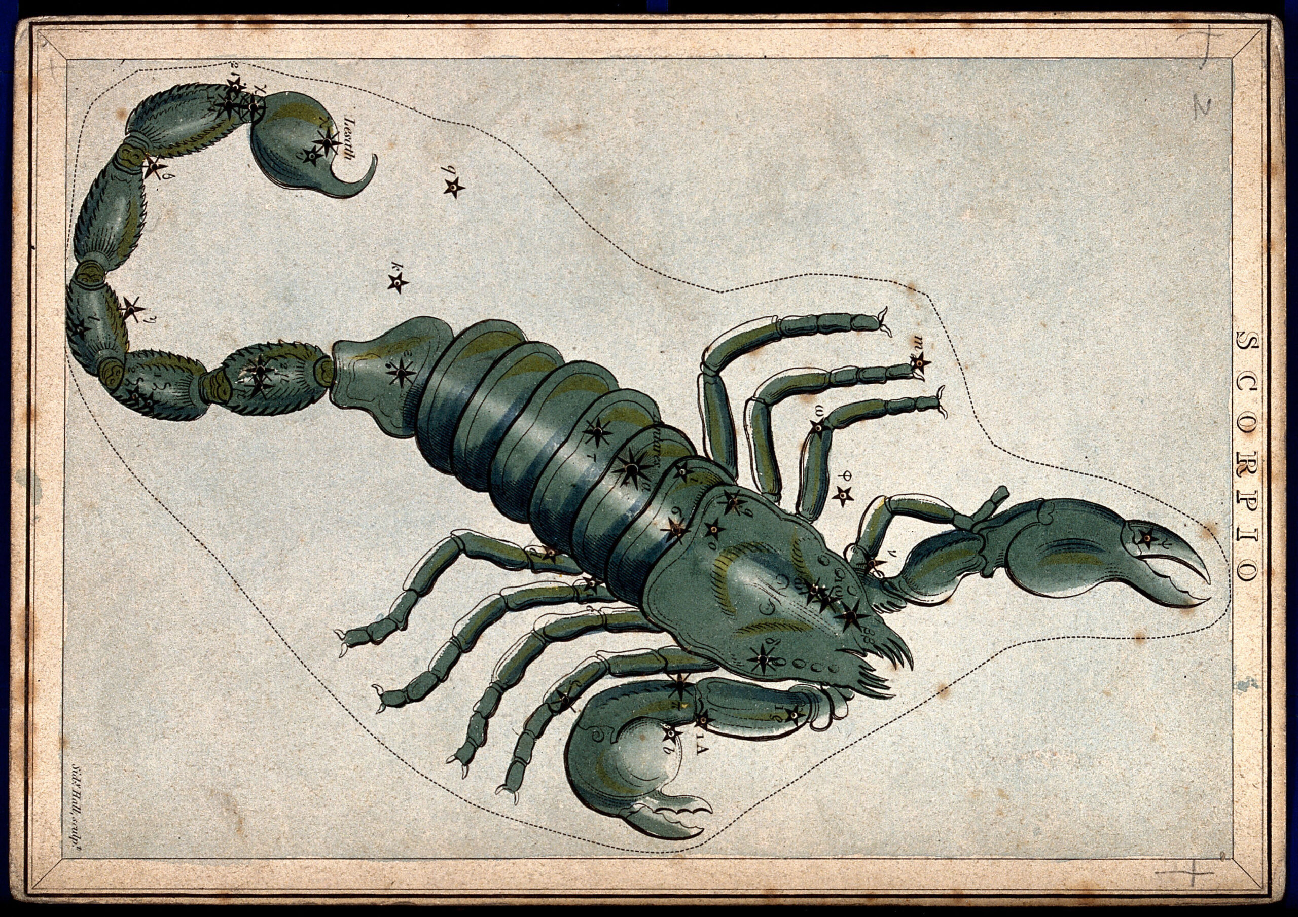 La constelación de Escorpio. Grabado: Colección Wellcome.